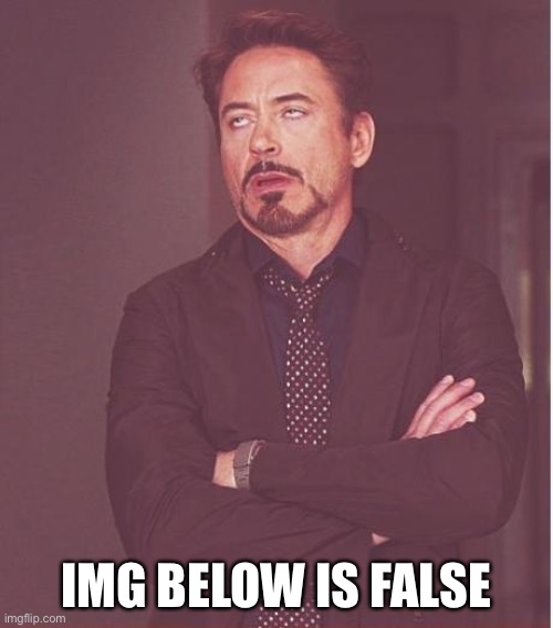 No u | IMG BELOW IS FALSE | image tagged in memes,face you make robert downey jr | made w/ Imgflip meme maker