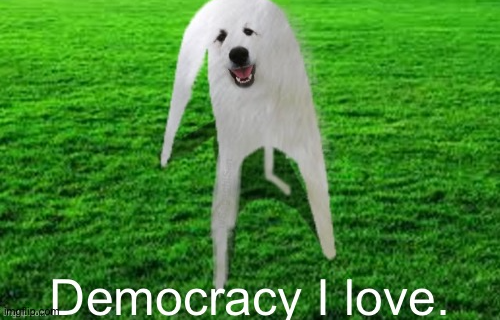 Democracy I Love Blank Meme Template