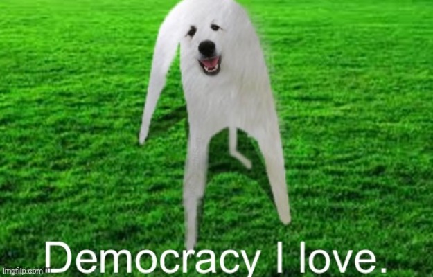 Democracy I Love | image tagged in democracy i love | made w/ Imgflip meme maker