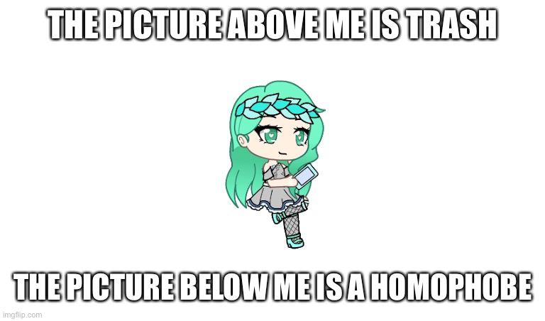 THE PICTURE ABOVE ME IS TRASH; THE PICTURE BELOW ME IS A HOMOPHOBE | made w/ Imgflip meme maker
