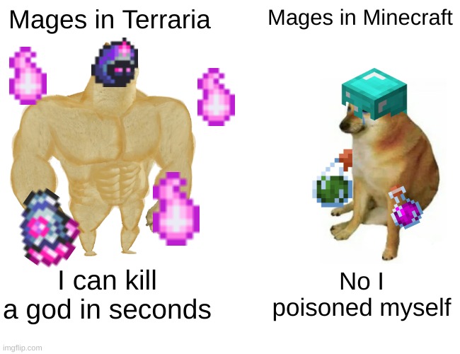It do be true doe | Mages in Terraria; Mages in Minecraft; I can kill a god in seconds; No I poisoned myself | image tagged in memes,buff doge vs cheems | made w/ Imgflip meme maker