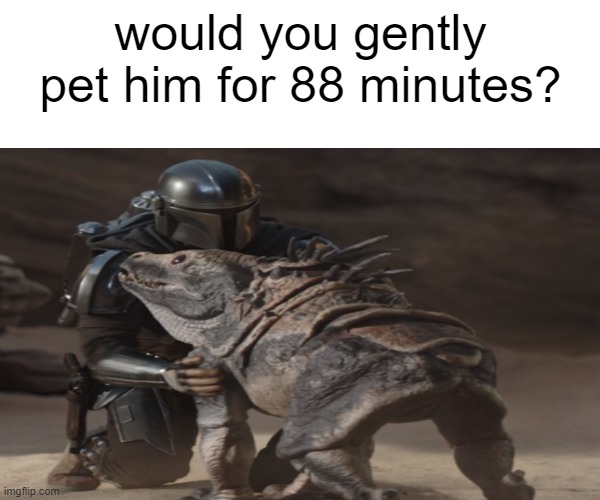 would you gently pet him for 88 minutes | would you gently pet him for 88 minutes? | image tagged in the mandalorian | made w/ Imgflip meme maker