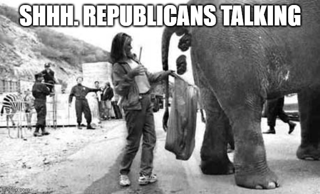 SHHH.REPUBLICANS TALKING | SHHH. REPUBLICANS TALKING | image tagged in elephant poop bad day | made w/ Imgflip meme maker