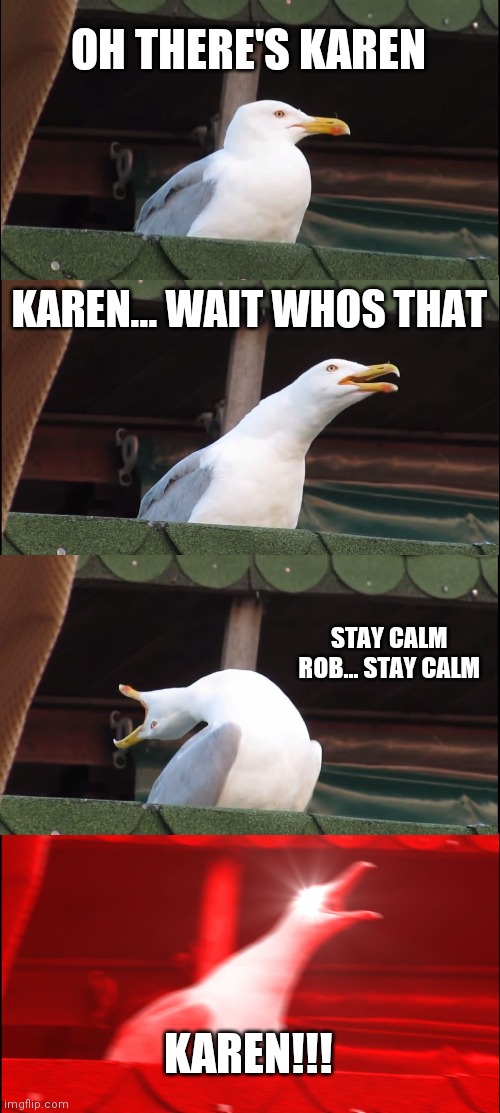 Inhaling Seagull | OH THERE'S KAREN; KAREN... WAIT WHOS THAT; STAY CALM ROB... STAY CALM; KAREN!!! | image tagged in memes,inhaling seagull | made w/ Imgflip meme maker