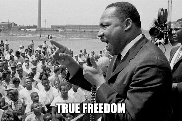 rectifying racism mlk | TRUE FREEDOM | image tagged in rectifying racism mlk | made w/ Imgflip meme maker