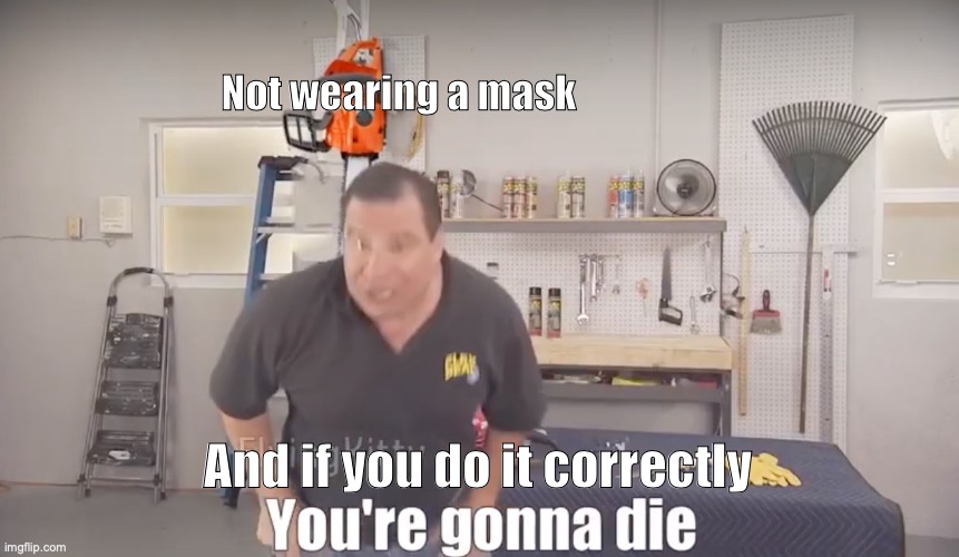 You will | Not wearing a mask; And if you do it correctly | image tagged in phil swift,memes | made w/ Imgflip meme maker
