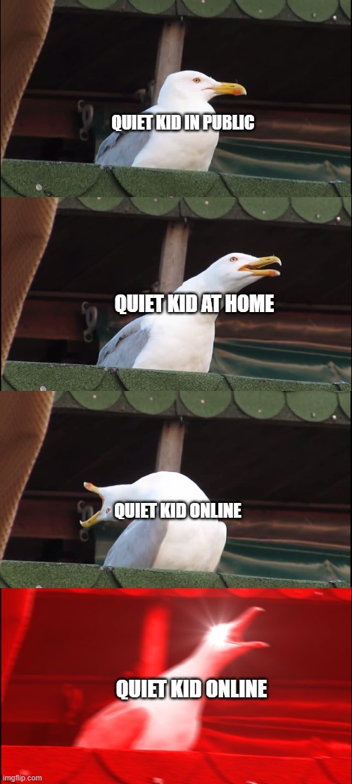 quiet kids be like- | QUIET KID IN PUBLIC; QUIET KID AT HOME; QUIET KID ONLINE; QUIET KID ONLINE | image tagged in memes,inhaling seagull,kids these days | made w/ Imgflip meme maker