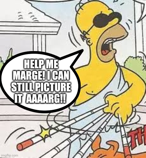 HELP ME MARGE! I CAN STILL PICTURE IT  AAAARG!! | made w/ Imgflip meme maker