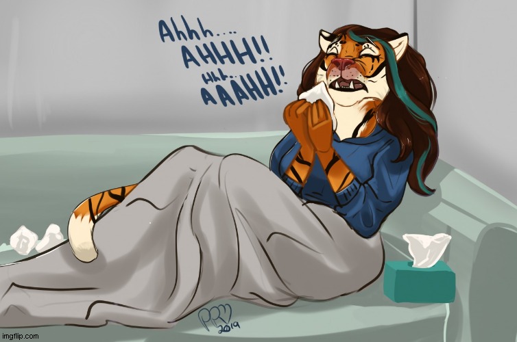 A tiger's cold. | image tagged in tiger,cold,sick,reddness,sneezing,tissues | made w/ Imgflip meme maker