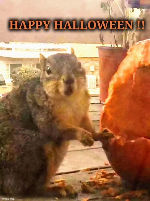 Happy Halloween | HAPPY HALLOWEEN !! | image tagged in memes,funny | made w/ Imgflip meme maker