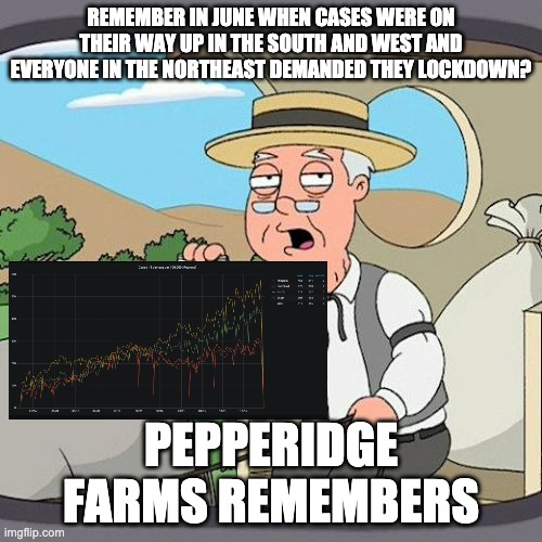 Pepperidge Farm Remembers Meme | REMEMBER IN JUNE WHEN CASES WERE ON THEIR WAY UP IN THE SOUTH AND WEST AND EVERYONE IN THE NORTHEAST DEMANDED THEY LOCKDOWN? PEPPERIDGE FARMS REMEMBERS | image tagged in memes,pepperidge farm remembers,Coronamemes | made w/ Imgflip meme maker