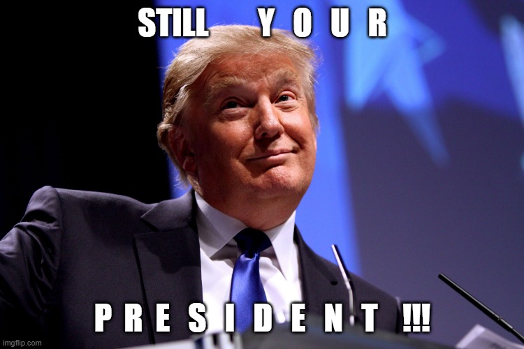 Donald Trump No2 |  STILL        Y   O   U   R; P  R  E   S   I   D   E   N   T    !!! | image tagged in donald trump no2 | made w/ Imgflip meme maker