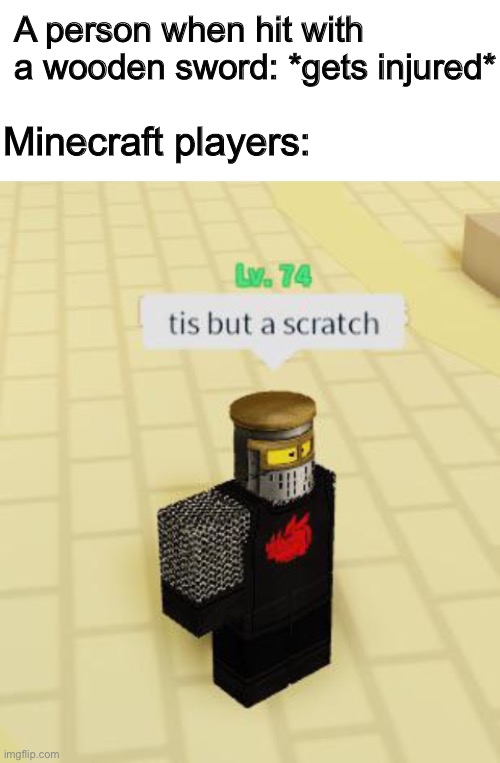 Tis but a scratch | A person when hit with 
a wooden sword: *gets injured*; Minecraft players: | image tagged in blank white template,tis but a scratch,minecraft,memes,fun | made w/ Imgflip meme maker