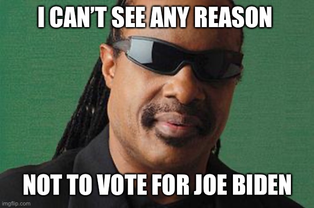 Stevie Wonder-I Got U | I CAN’T SEE ANY REASON; NOT TO VOTE FOR JOE BIDEN | image tagged in stevie wonder-i got u,memes | made w/ Imgflip meme maker