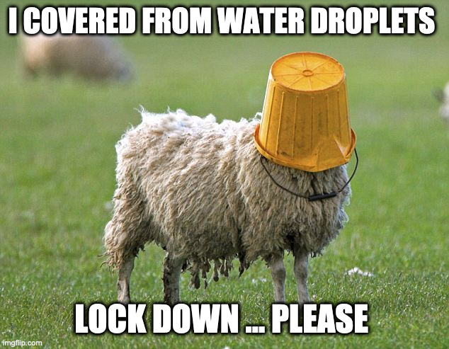 stupid sheep | I COVERED FROM WATER DROPLETS LOCK DOWN ... PLEASE | image tagged in stupid sheep | made w/ Imgflip meme maker