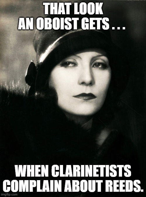 Garbo Glance: ... oboist ... clarinetists ... reeds | THAT LOOK
AN OBOIST GETS . . . WHEN CLARINETISTS COMPLAIN ABOUT REEDS. | image tagged in greta garbo glance of disdain | made w/ Imgflip meme maker