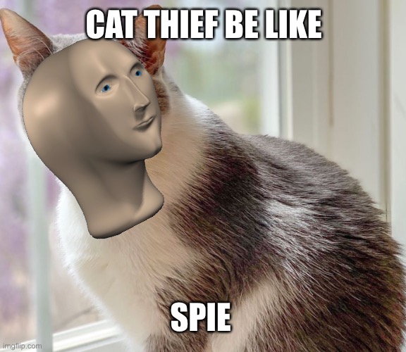 Spie kat | CAT THIEF BE LIKE; SPIE | image tagged in funny,memes,funny memes | made w/ Imgflip meme maker
