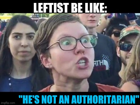 Angry sjw | LEFTIST BE LIKE: "HE'S NOT AN AUTHORITARIAN" | image tagged in angry sjw | made w/ Imgflip meme maker