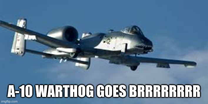 [Petition to get A-10 Warthogs to be used in the anti tic tok militarys Air Force Branch] | A-10 WARTHOG GOES BRRRRRRRR | image tagged in military | made w/ Imgflip meme maker