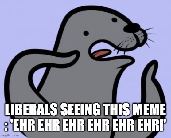 Homophobic Seal Meme | LIBERALS SEEING THIS MEME : 'EHR EHR EHR EHR EHR EHR!' | image tagged in memes,homophobic seal | made w/ Imgflip meme maker