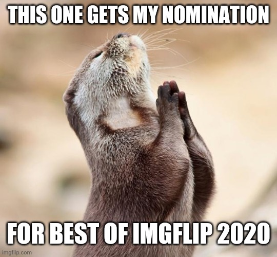 animal praying | THIS ONE GETS MY NOMINATION FOR BEST OF IMGFLIP 2020 | image tagged in animal praying | made w/ Imgflip meme maker