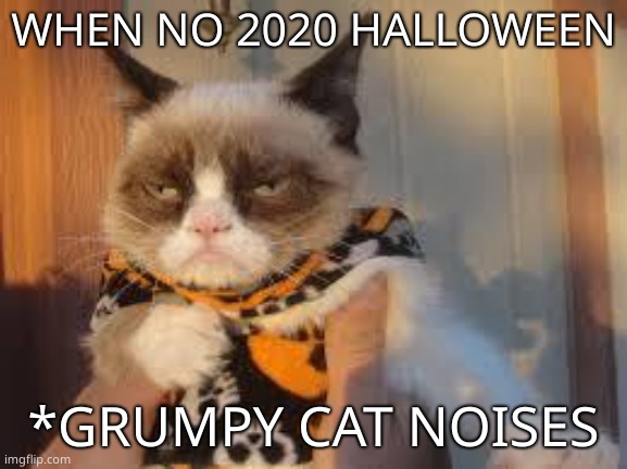 Grumpy Cat Halloween Meme | WHEN NO 2020 HALLOWEEN *GRUMPY CAT NOISES | image tagged in memes,grumpy cat halloween,grumpy cat | made w/ Imgflip meme maker