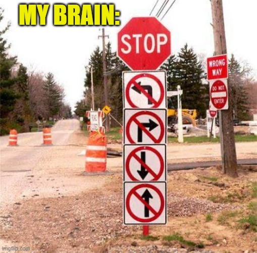 my brain stop | MY BRAIN: | image tagged in funny | made w/ Imgflip meme maker