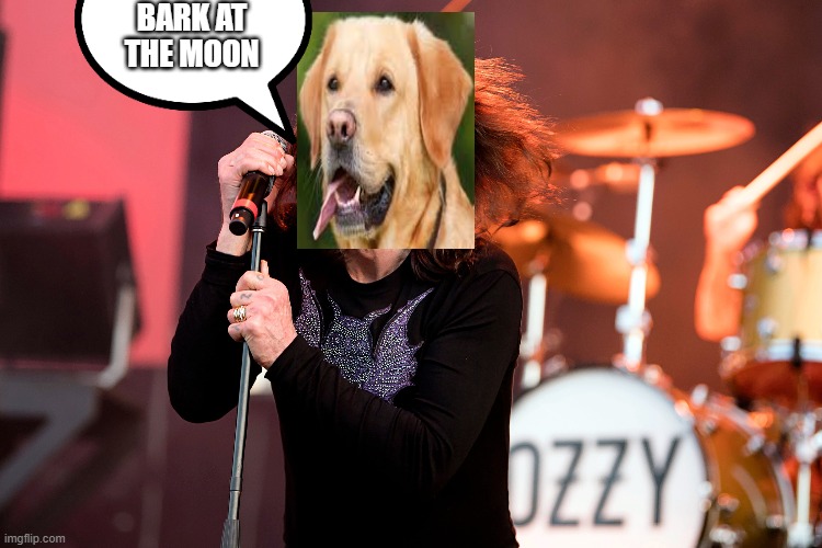 Ozzy Bork | BARK AT THE MOON | image tagged in bark,moon | made w/ Imgflip meme maker