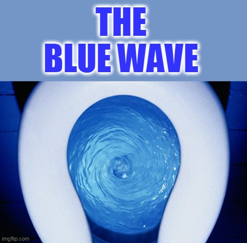 the blue wave | THE BLUE WAVE | image tagged in politics,democratic party | made w/ Imgflip meme maker