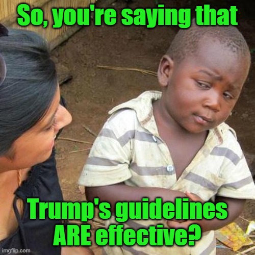 Third World Skeptical Kid Meme | So, you're saying that Trump's guidelines ARE effective? | image tagged in memes,third world skeptical kid | made w/ Imgflip meme maker