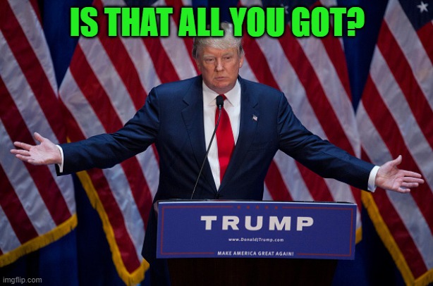 Donald Trump | IS THAT ALL YOU GOT? | image tagged in donald trump | made w/ Imgflip meme maker