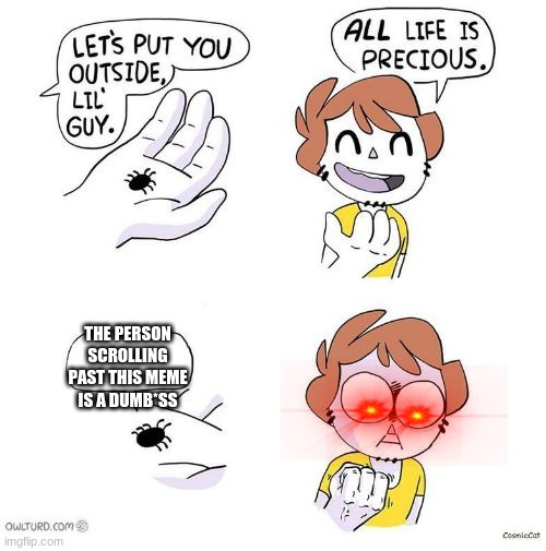 KILL THAT BUG | THE PERSON SCROLLING PAST THIS MEME IS A DUMB*SS | image tagged in all life is precious,memes,you,kill that stupid bug,i don't have ideas for tags lol | made w/ Imgflip meme maker