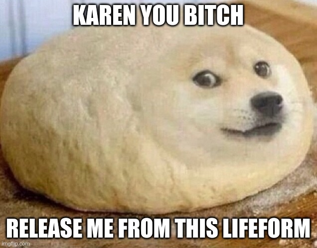 Trapped Doge | KAREN YOU BITCH; RELEASE ME FROM THIS LIFEFORM | image tagged in doge,dogelore,funny,bread,trapped,memes | made w/ Imgflip meme maker