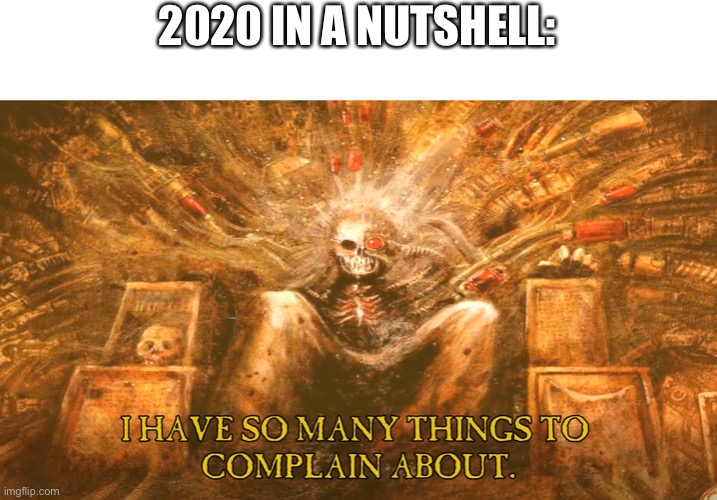 2020 IN A NUTSHELL: | image tagged in 2020 | made w/ Imgflip meme maker