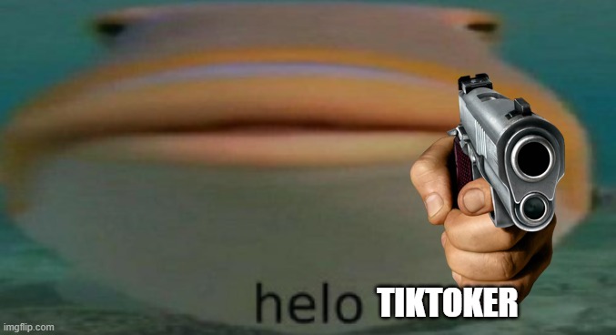 H E L O T I K T O K E R | TIKTOKER | image tagged in helo | made w/ Imgflip meme maker