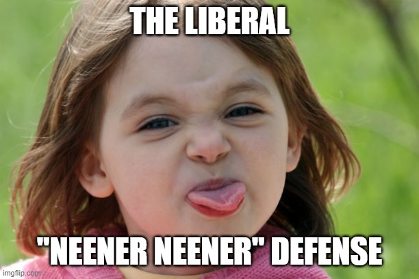 bratty kid tongue out razz raspberry | THE LIBERAL; "NEENER NEENER" DEFENSE | image tagged in bratty kid tongue out razz raspberry | made w/ Imgflip meme maker