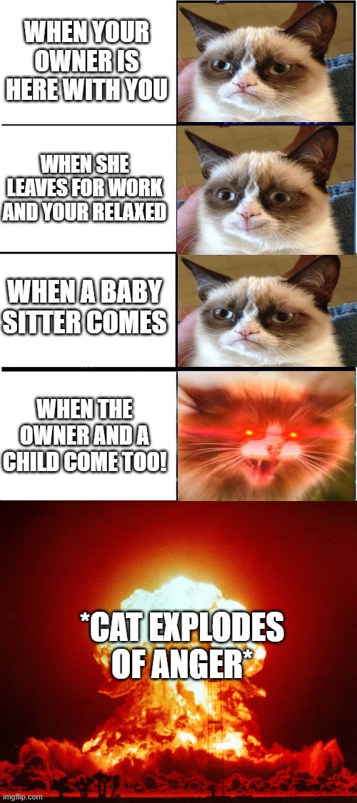 how cats feel and the link to both of MY streams are in the comments | WHEN YOUR OWNER IS HERE WITH YOU; WHEN SHE LEAVES FOR WORK AND YOUR RELAXED; WHEN A BABY SITTER COMES; WHEN THE OWNER AND A CHILD COME TOO! *CAT EXPLODES WITH ANGER* | image tagged in memes,cats,fyp | made w/ Imgflip meme maker
