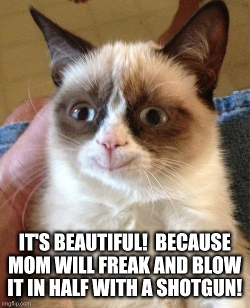 Grumpy Cat Happy Meme | IT'S BEAUTIFUL!  BECAUSE MOM WILL FREAK AND BLOW IT IN HALF WITH A SHOTGUN! | image tagged in memes,grumpy cat happy,grumpy cat | made w/ Imgflip meme maker
