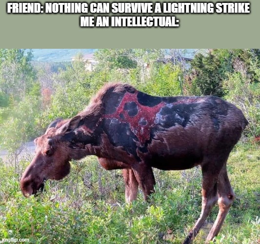 moose | FRIEND: NOTHING CAN SURVIVE A LIGHTNING STRIKE 
ME AN INTELLECTUAL: | image tagged in lightning moose | made w/ Imgflip meme maker