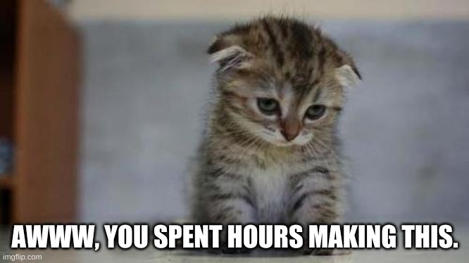 Sad kitten | AWWW, YOU SPENT HOURS MAKING THIS. | image tagged in sad kitten | made w/ Imgflip meme maker