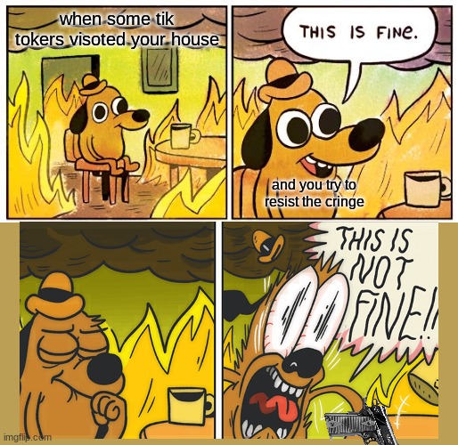 your not fine | when some tik tokers visoted your house; and you try to resist the cringe | image tagged in memes,this is fine | made w/ Imgflip meme maker