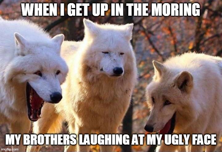 Laughing wolf | WHEN I GET UP IN THE MORING; MY BROTHERS LAUGHING AT MY UGLY FACE | image tagged in laughing wolf | made w/ Imgflip meme maker