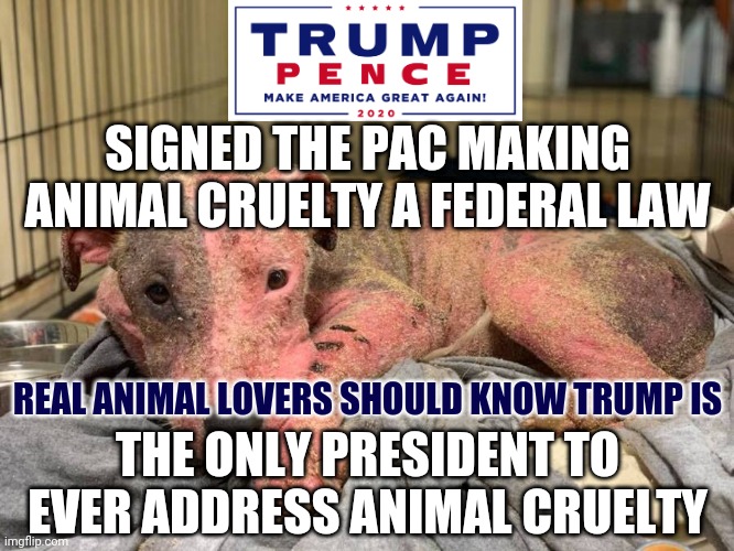 PRESIDENT TRUMP ANIMAL CRUELTY POLICY: PAC signed by Trump addressing animal abuse and torture making it a federal crime | SIGNED THE PAC MAKING ANIMAL CRUELTY A FEDERAL LAW; REAL ANIMAL LOVERS SHOULD KNOW TRUMP IS; THE ONLY PRESIDENT TO EVER ADDRESS ANIMAL CRUELTY | image tagged in trump,animals,laws,facts,truth,sorry not sorry | made w/ Imgflip meme maker