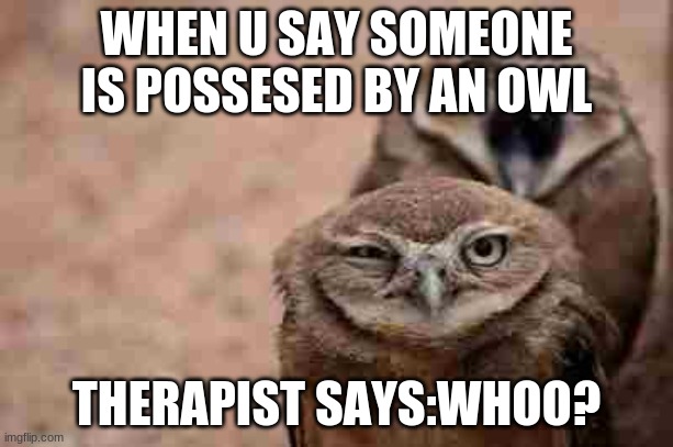 Annoyed Owl | WHEN U SAY SOMEONE IS POSSESED BY AN OWL; THERAPIST SAYS:WHOO? | image tagged in annoyed owl | made w/ Imgflip meme maker