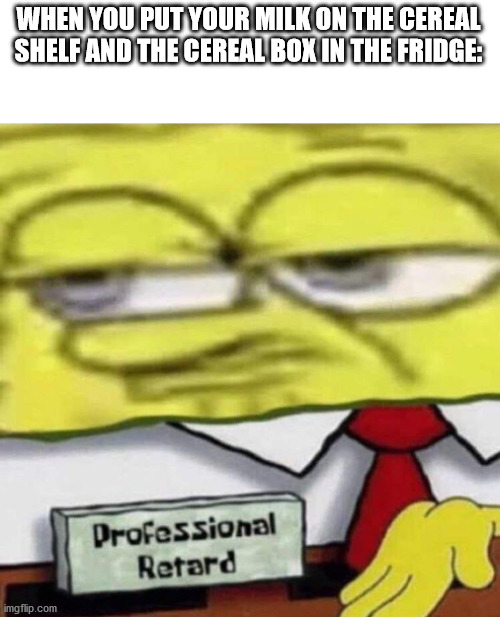 SpongeBob Professional | WHEN YOU PUT YOUR MILK ON THE CEREAL SHELF AND THE CEREAL BOX IN THE FRIDGE: | image tagged in spongebob professional | made w/ Imgflip meme maker