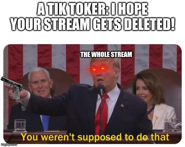 You weren't supposed to do that | A TIK TOKER: I HOPE YOUR STREAM GETS DELETED! THE WHOLE STREAM | image tagged in you weren't supposed to do that | made w/ Imgflip meme maker