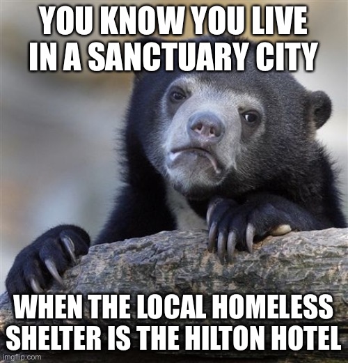 True Story | YOU KNOW YOU LIVE IN A SANCTUARY CITY; WHEN THE LOCAL HOMELESS SHELTER IS THE HILTON HOTEL | image tagged in memes,confession bear,true story,true story bro,sanctuary cities,liberal logic | made w/ Imgflip meme maker