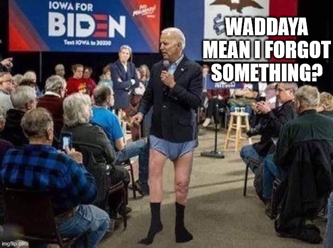 Joe Biden | WADDAYA MEAN I FORGOT SOMETHING? | image tagged in joe biden | made w/ Imgflip meme maker