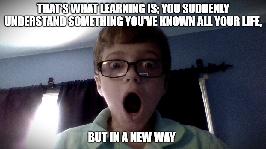 That moment when you realize it wasn't a fart | THAT'S WHAT LEARNING IS; YOU SUDDENLY UNDERSTAND SOMETHING YOU'VE KNOWN ALL YOUR LIFE, BUT IN A NEW WAY | image tagged in that moment when you realize it wasn't a fart | made w/ Imgflip meme maker