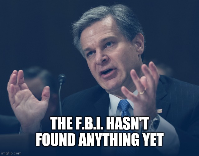 If Only You Knew How Bad Things Really Are | THE F.B.I. HASN'T FOUND ANYTHING YET | image tagged in if only you knew how bad things really are | made w/ Imgflip meme maker